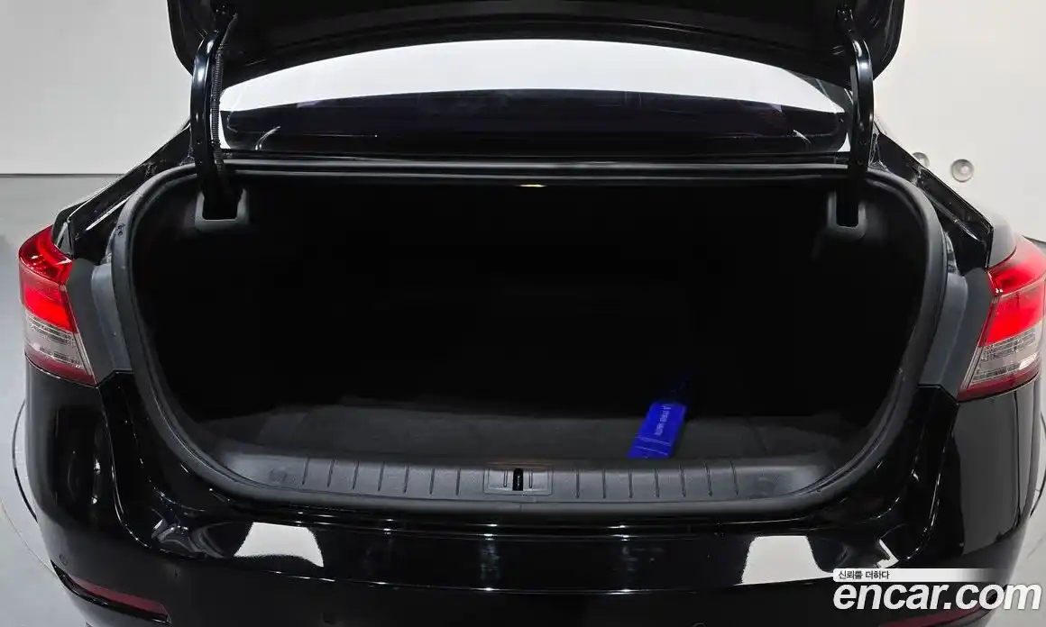 Renault SM5 2017 2.0 гидро, фото 26