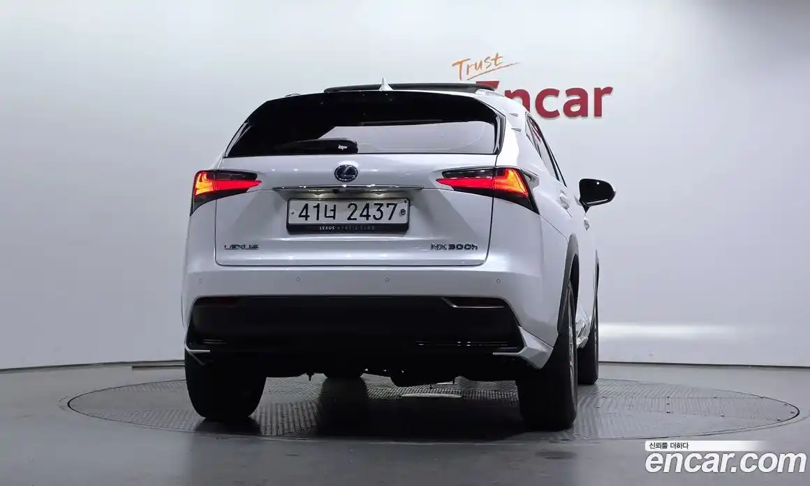 Lexus NX 2017 2.5 гидро, фото 4