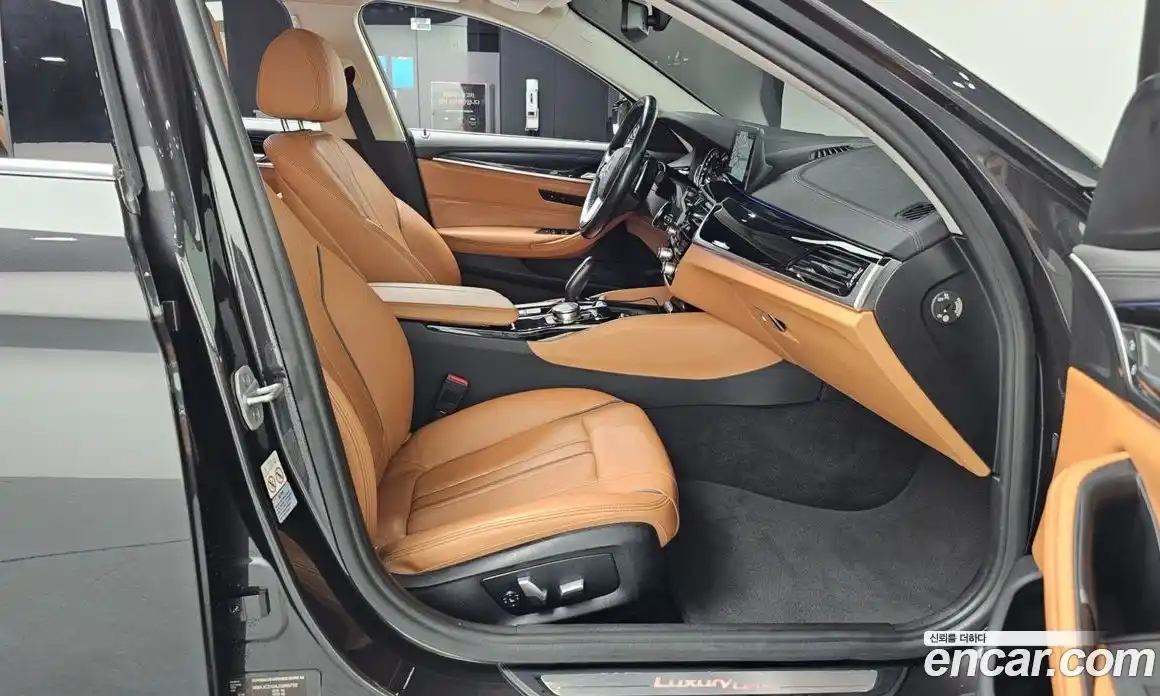 BMW 5-Series 2017 2.0 гидро, фото 11