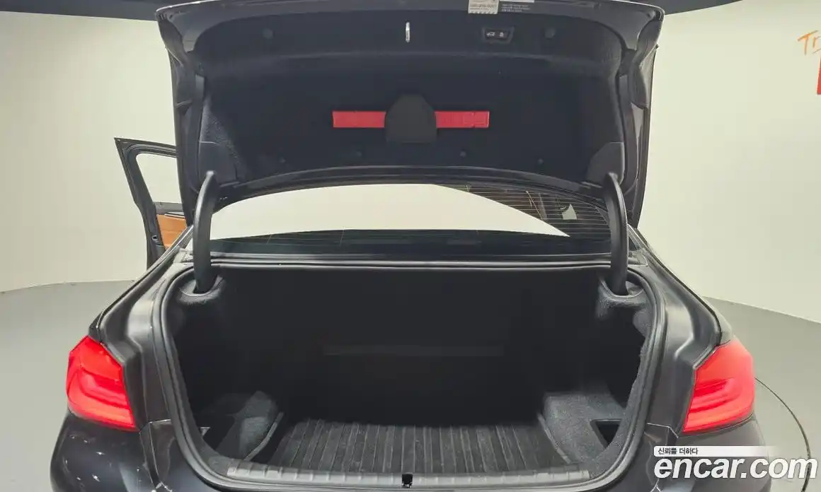 BMW 5-Series 2017 2.0 гидро, фото 20