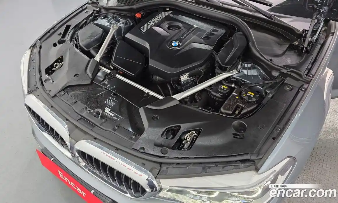 BMW 5-Series 2018 2.0 гидро, фото 6