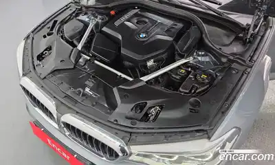 BMW 5-Series 2018 2.0 гидро, миниатюра 6