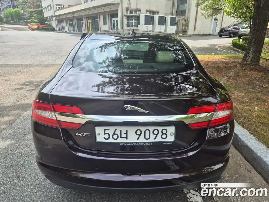 Jaguar XF 2014 2.2 гидро, фото 4