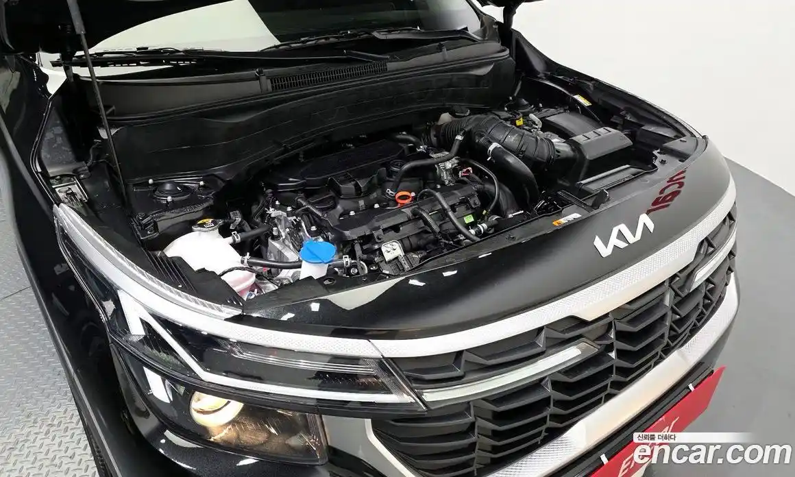 Kia Seltos 2026 1.6 гидро, фото 6