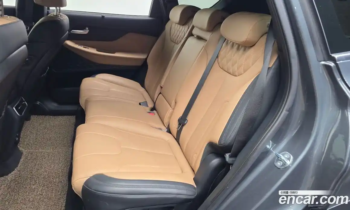 Hyundai Santa Fe 2023 2.5 гидро, фото 16