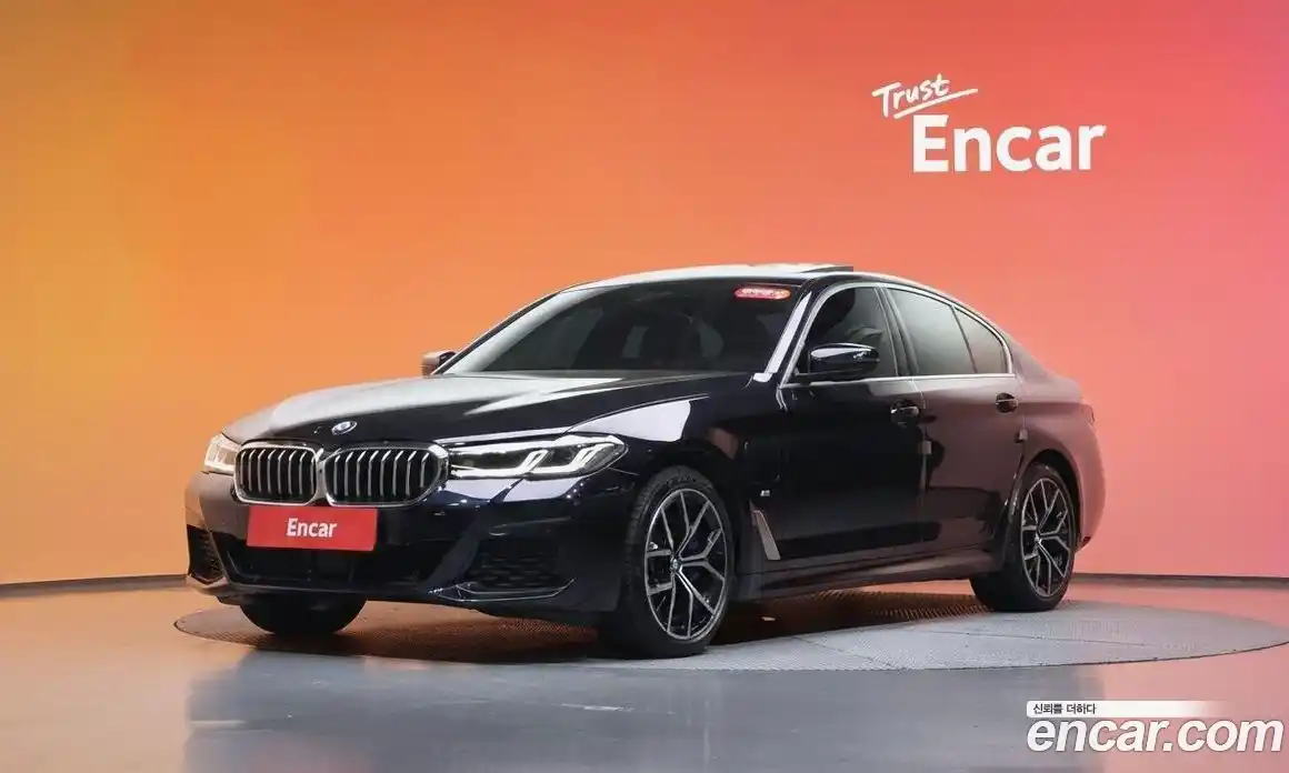 BMW 5-Series 2021 2.0 гидро, фото 32