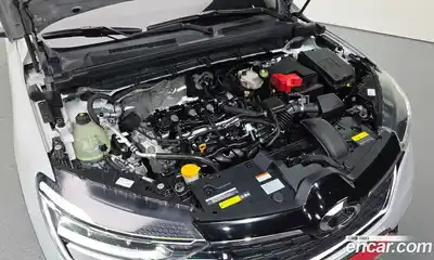 Renault XM3 2021 1.6 гидро, миниатюра 6
