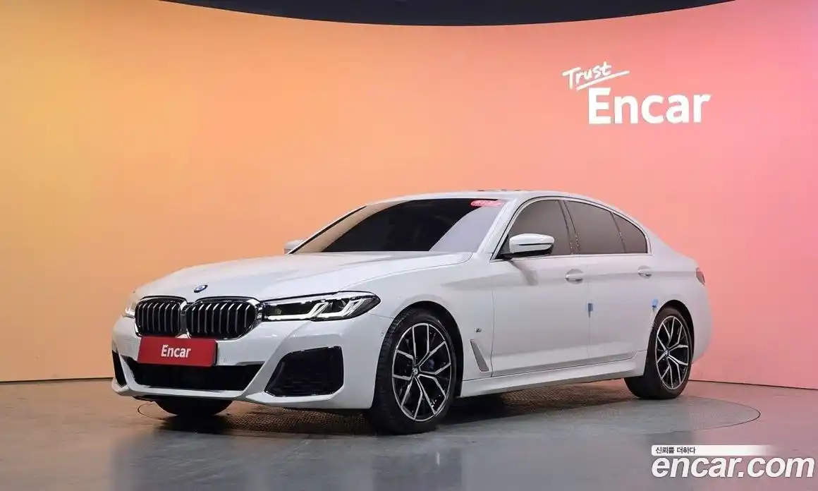 BMW 5-Series 2021 2.0 гидро, фото 34