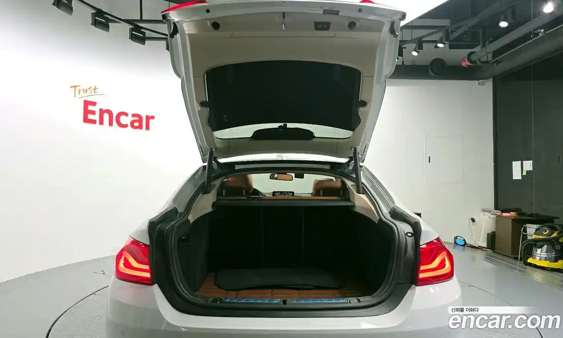 BMW 4-Series 2018 2.0 гидро, фото 25