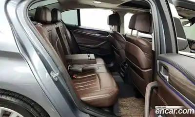 BMW 5-Series 2018 2.0 гидро, миниатюра 12