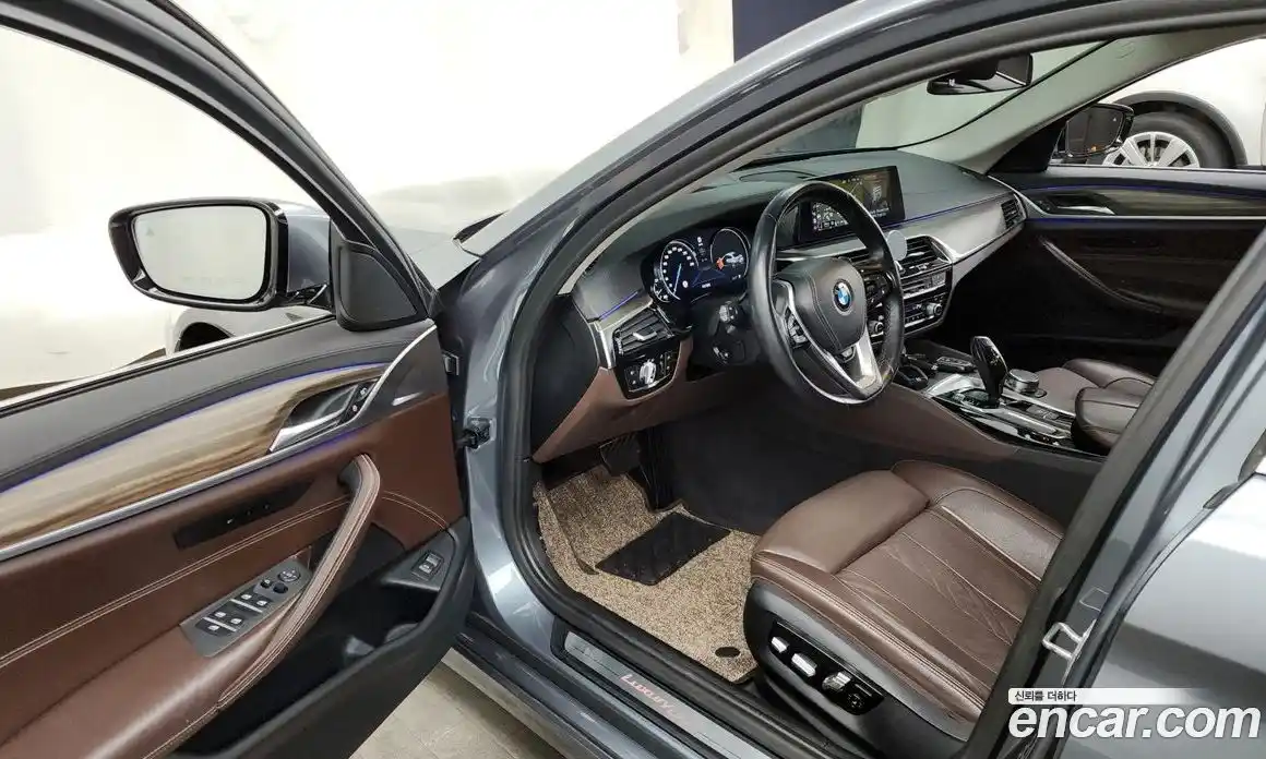 BMW 5-Series 2018 2.0 гидро, фото 10