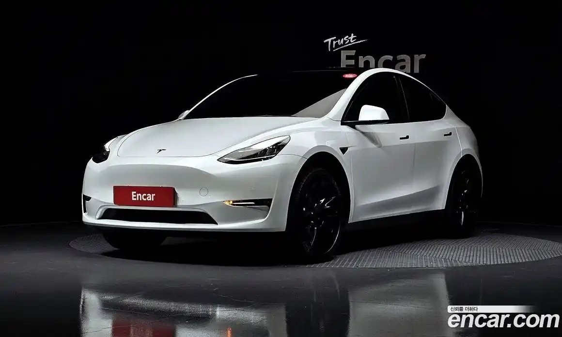 Tesla Model Y 2022 0.2 гидро, фото 1