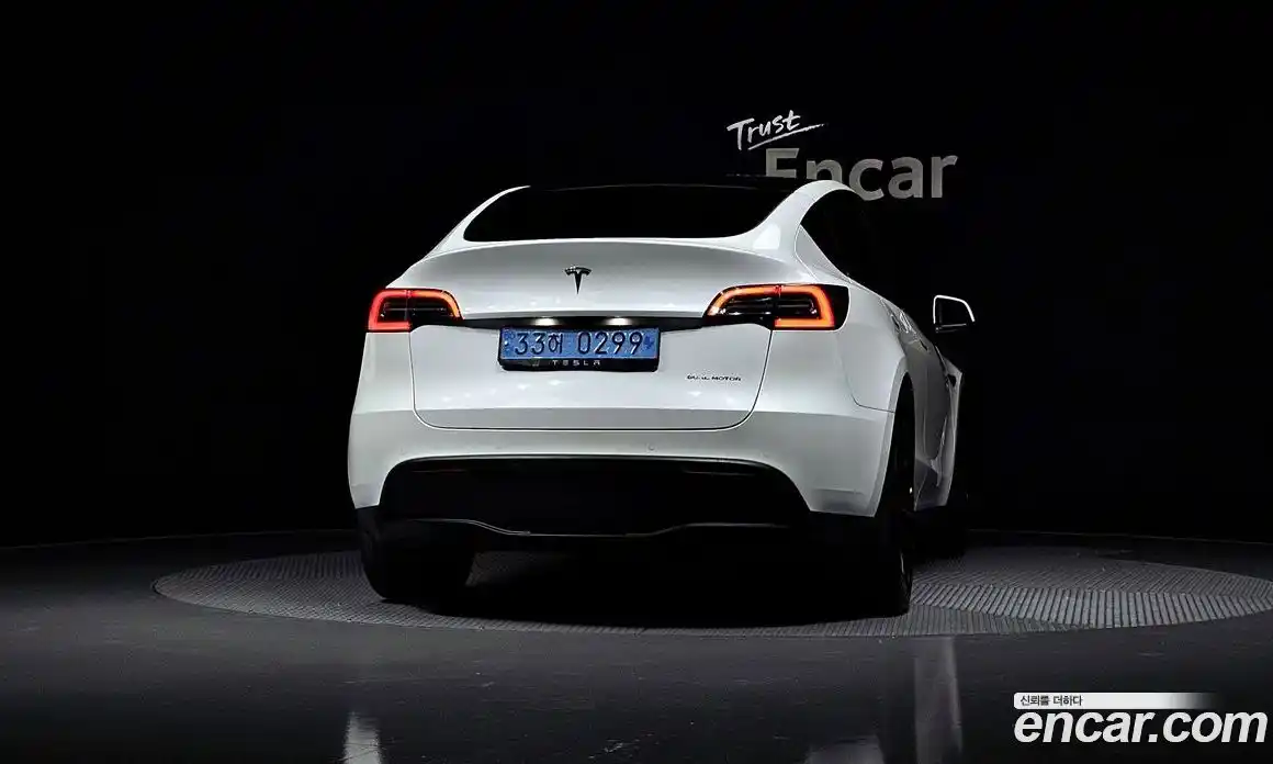 Tesla Model Y 2022 0.2 гидро, фото 4