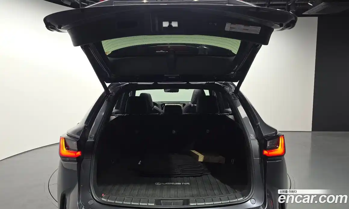 Lexus NX 2022 2.5 гидро, фото 20
