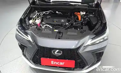 Lexus NX 2022 2.5 гидро, миниатюра 6