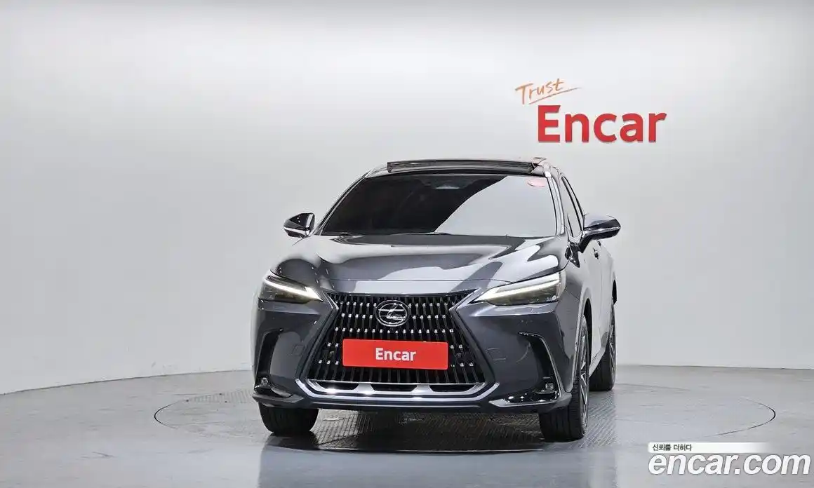 Lexus NX 2025 2.5 гидро, фото 3