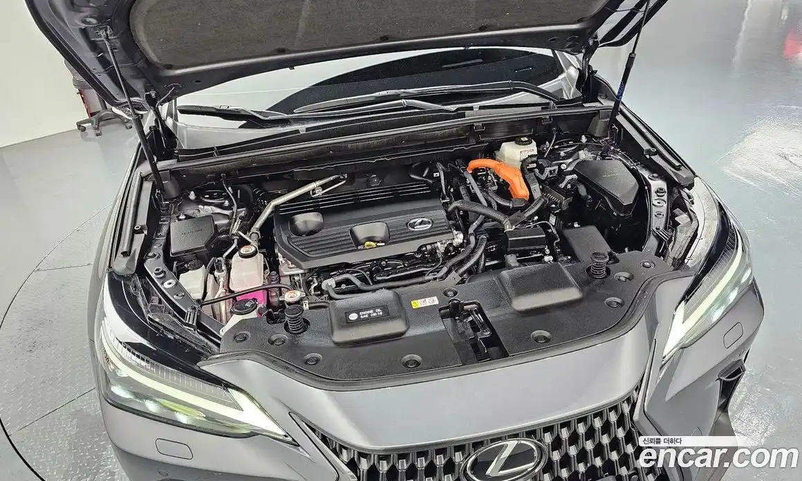 Lexus NX 2025 2.5 гидро, фото 6