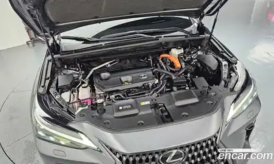 Lexus NX 2025 2.5 гидро, миниатюра 6