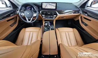 BMW 5-Series 2021 2.0 гидро, миниатюра 10