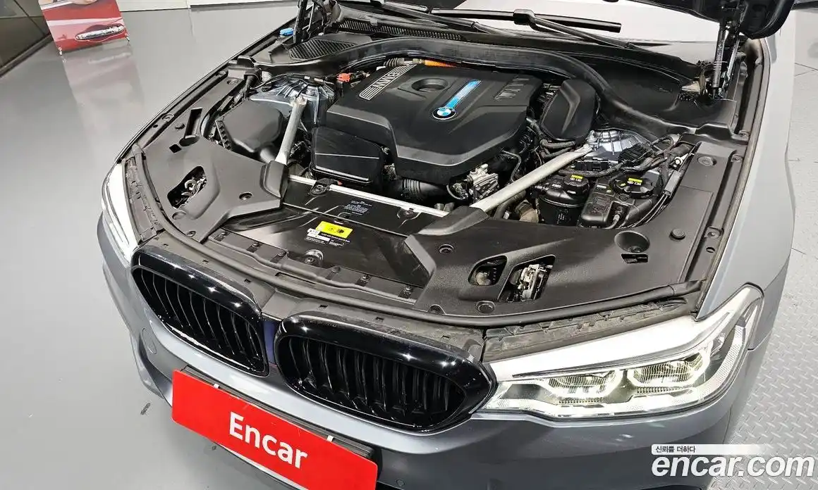 BMW 5-Series 2020 2.0 гидро, фото 6