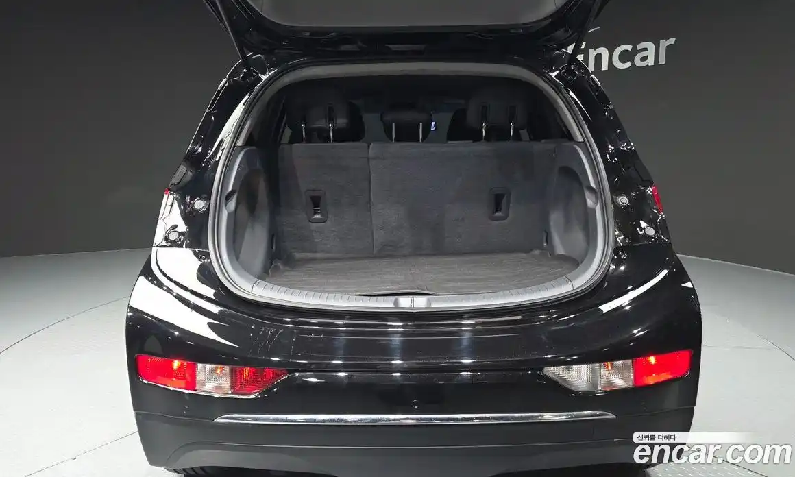 Chevrolet Bolt EV 2020 0.2 гидро, фото 26