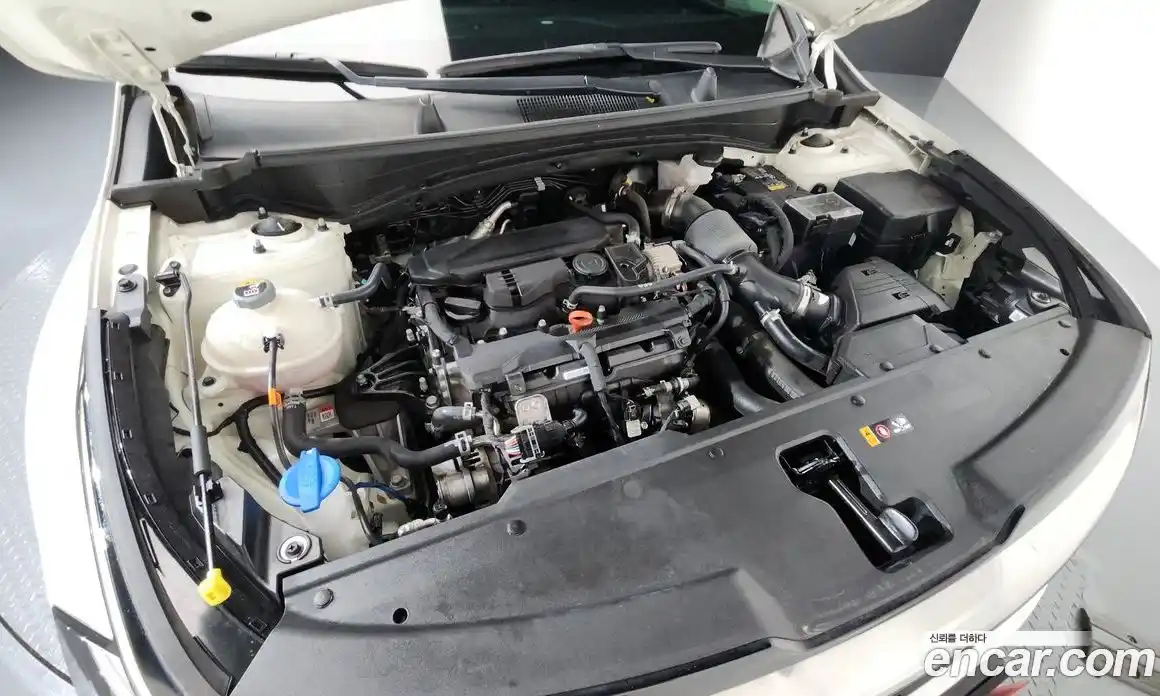Kia Sportage 2023 1.6 гидро, фото 5