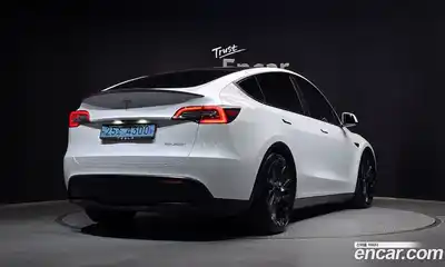 Tesla Model Y 2021 0.2 гидро, миниатюра 2