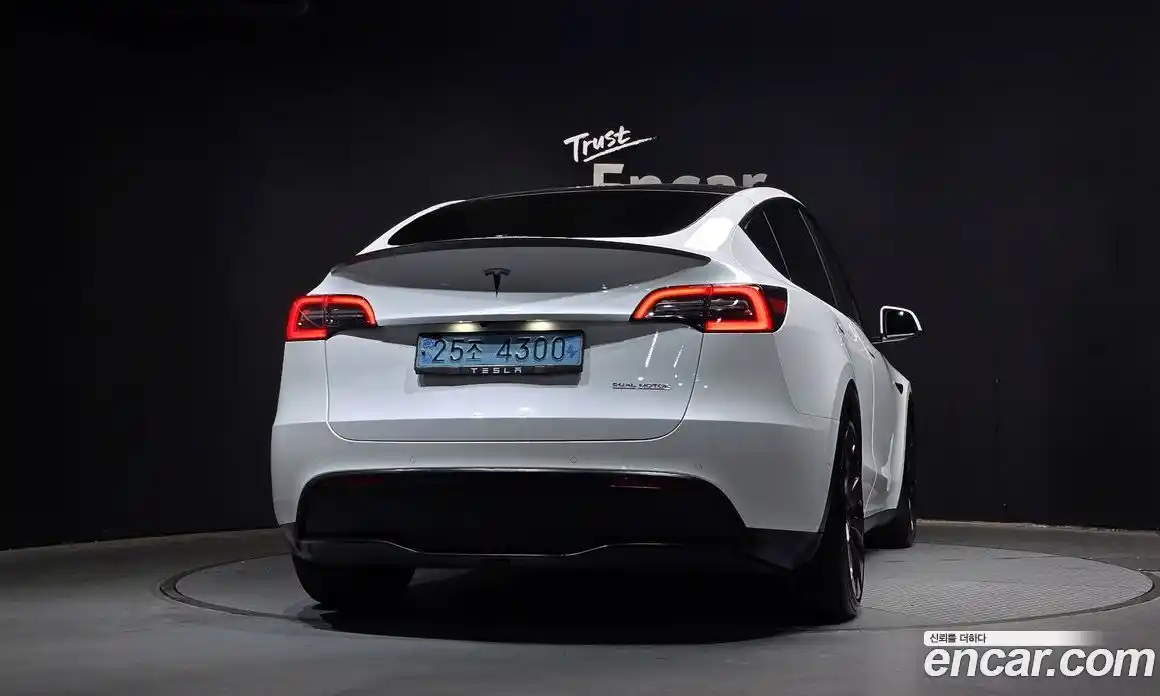 Tesla Model Y 2021 0.2 гидро, фото 4
