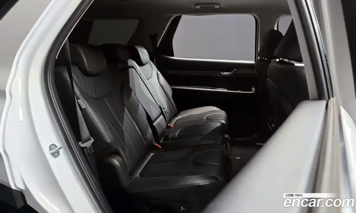 Hyundai Palisade 2021 2.2 гидро, фото 12