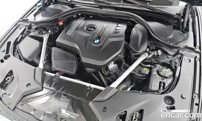 BMW 5-Series 2019 2.0 гидро, миниатюра 6