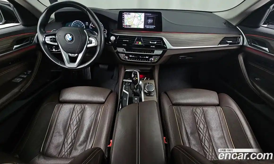 BMW 5-Series 2019 2.0 гидро, фото 10