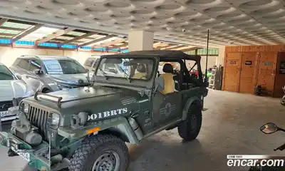 Jeep Wrangler 1992 4.0 автомат (гидро), миниатюра 3
