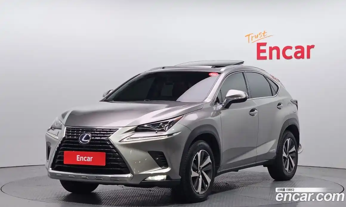 Lexus NX 2018 2.5 гидро, фото 1