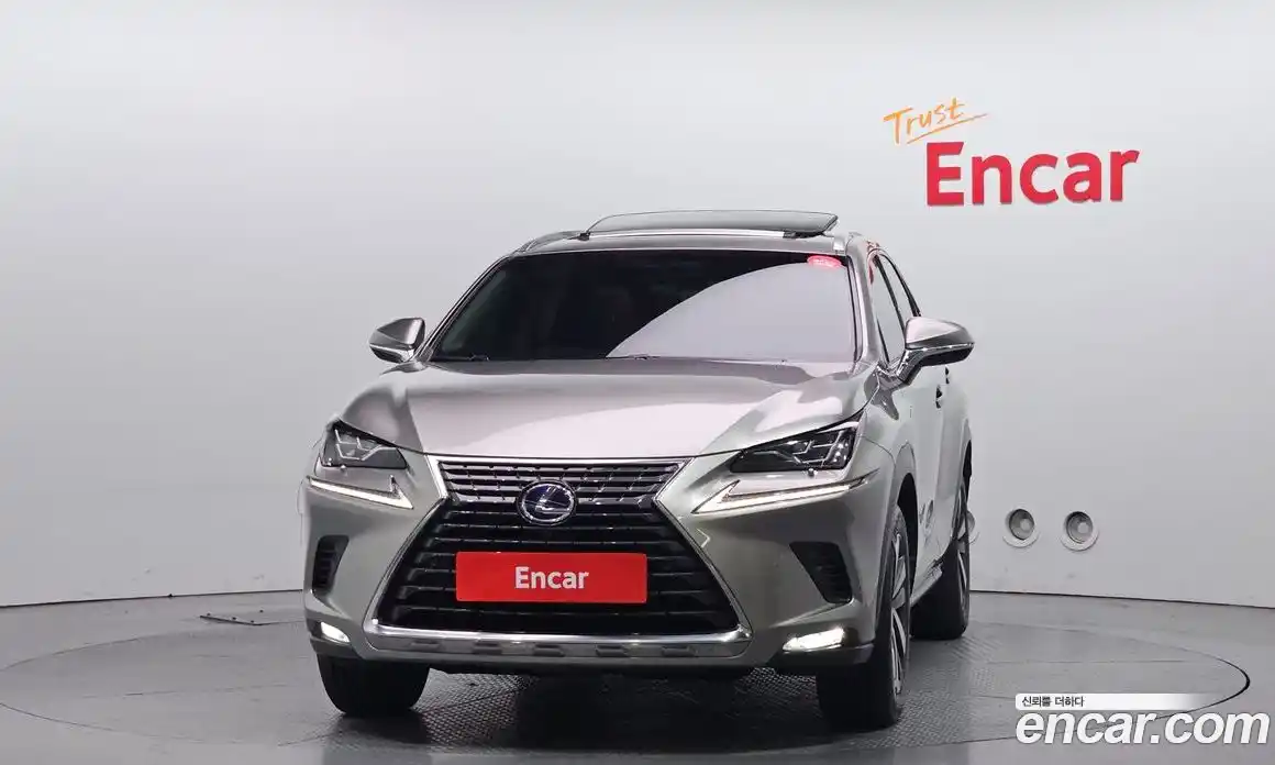 Lexus NX 2018 2.5 гидро, фото 3