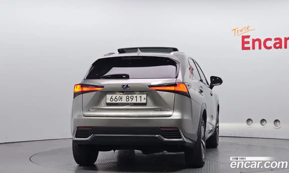Lexus NX 2018 2.5 гидро, фото 4