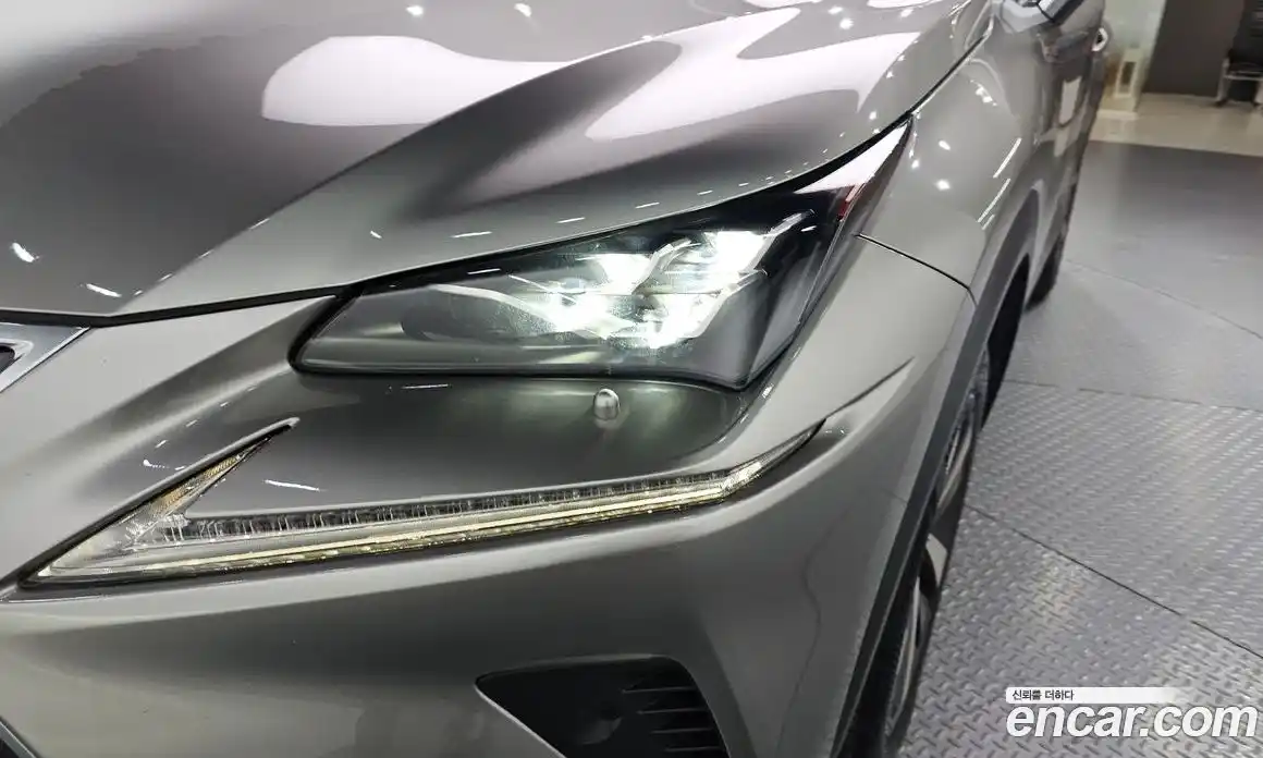 Lexus NX 2018 2.5 гидро, фото 8