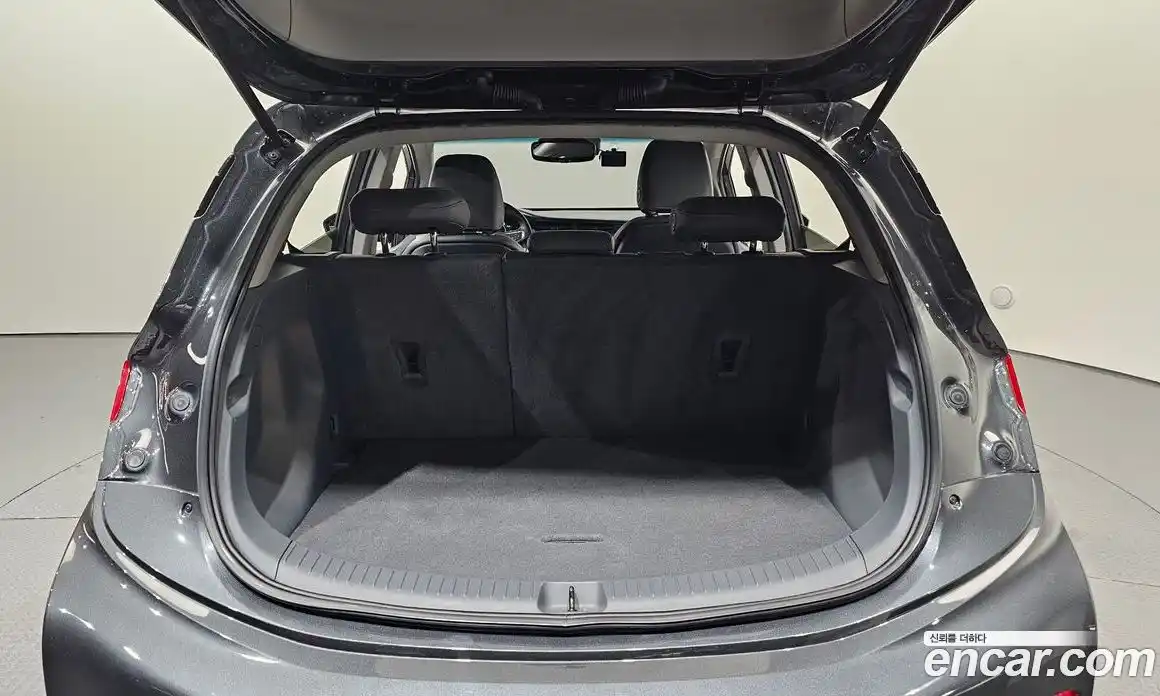 Chevrolet Bolt EV 2021 0.2 гидро, фото 21