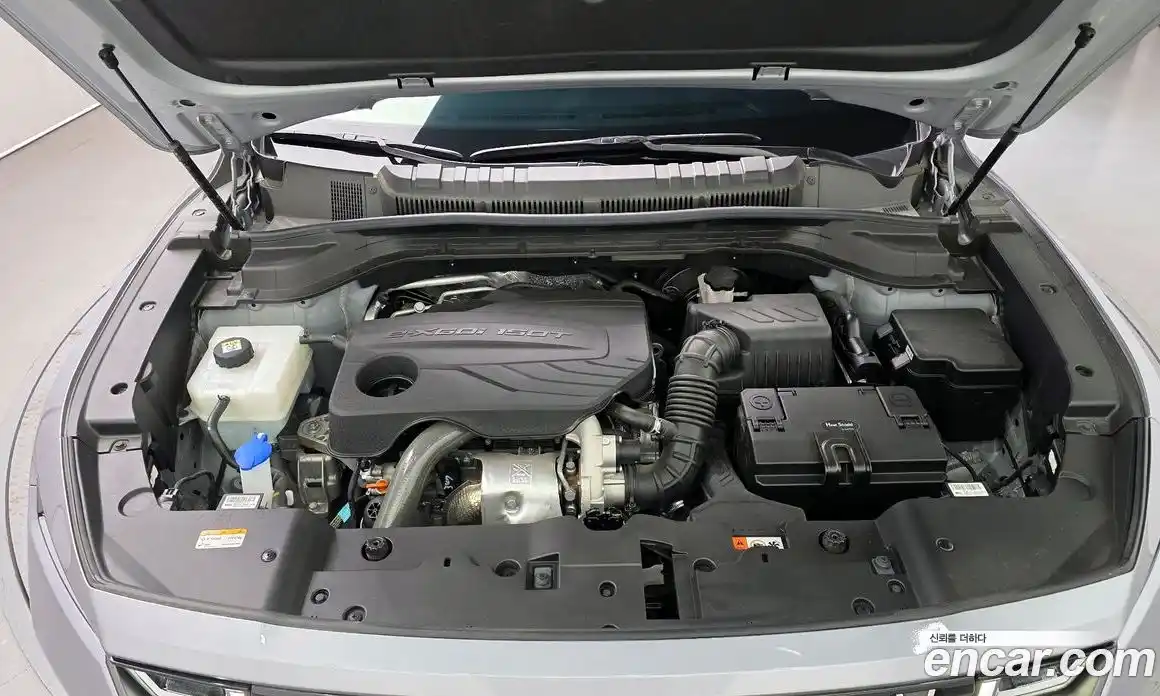 SsangYong Torres 2024 1.5 гидро, фото 6