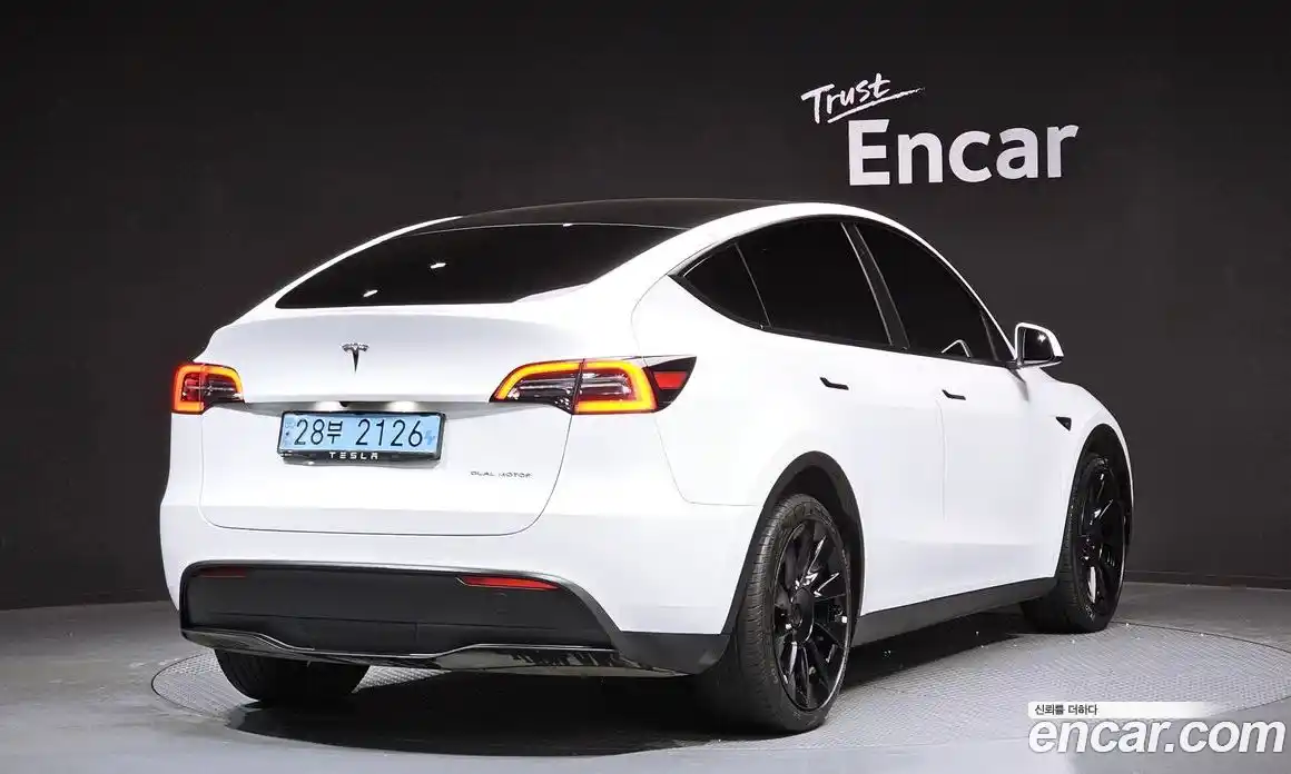 Tesla Model Y 2021 0.2 гидро, фото 2