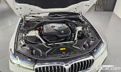 BMW 5-Series 2021 2.0 гидро, миниатюра 6