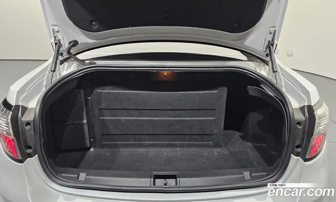 Renault SM3 2020 0.1 гидро, фото 20