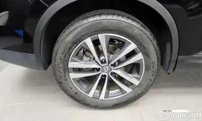 Renault QM6 2020 2.0 гидро, миниатюра 5