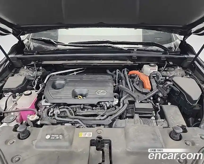 Lexus NX 2022 2.5 гидро, фото 5