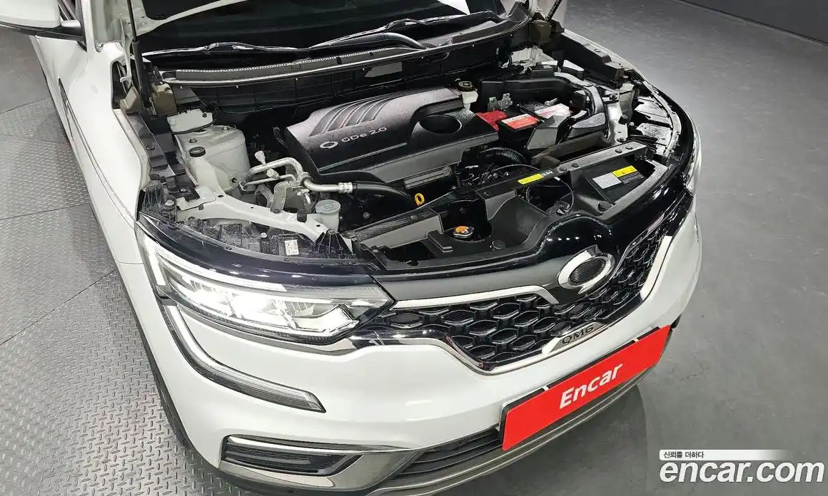 Renault QM6 2021 2.0 гидро, фото 6