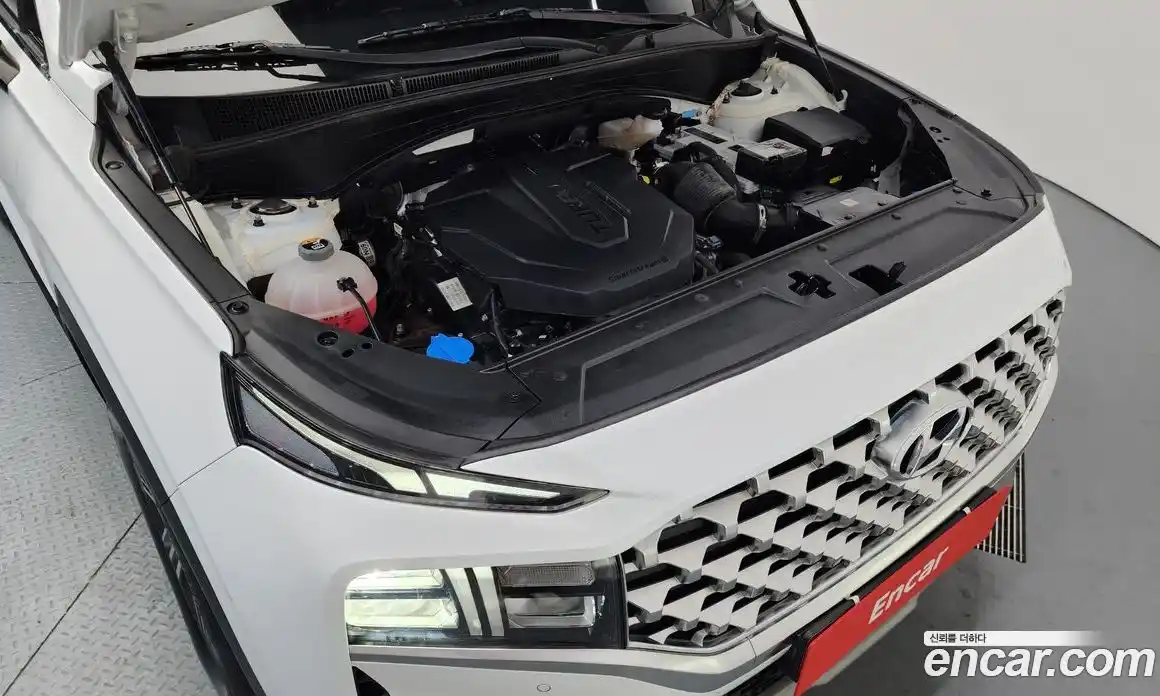 Hyundai Santa Fe 2020 2.2 гидро, фото 6