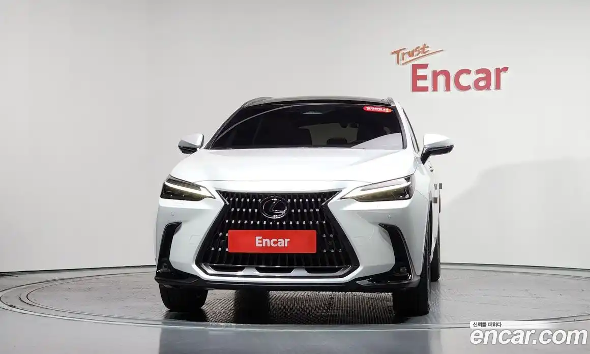 Lexus NX 2024 2.5 гидро, фото 3