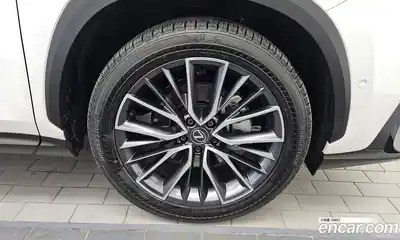Lexus NX 2024 2.5 гидро, миниатюра 5