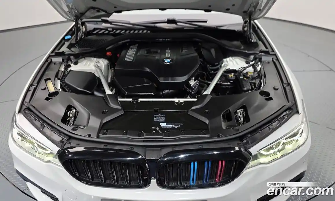 BMW 5-Series 2019 2.0 гидро, фото 6