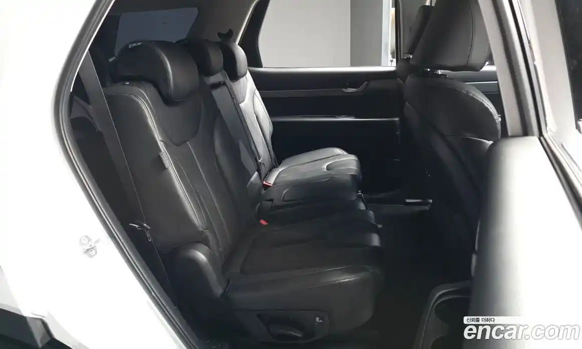 Hyundai Palisade 2022 2.2 гидро, фото 12