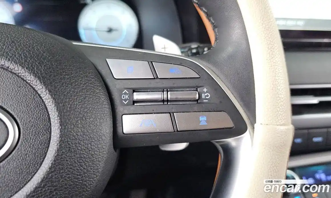 Hyundai Palisade 2023 2.2 гидро, фото 31